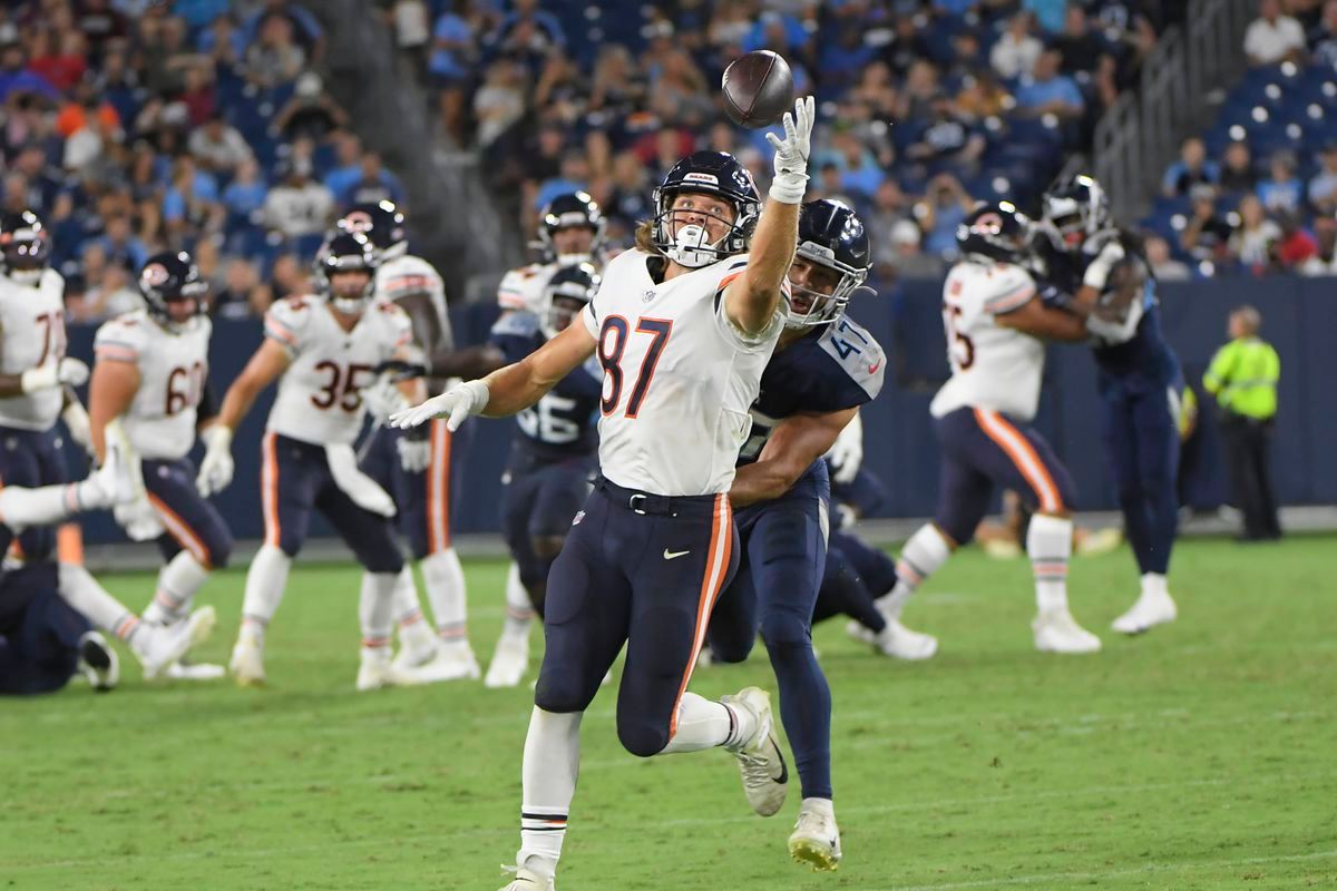 Bears claim former Giants TE Rysen John, waive Jesper Horsted