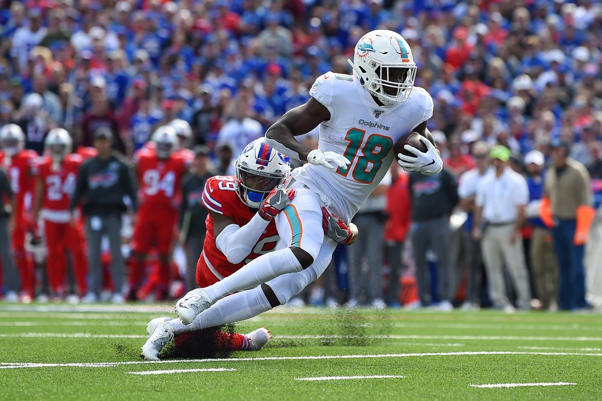 Should the Bears sign WR Preston Williams?