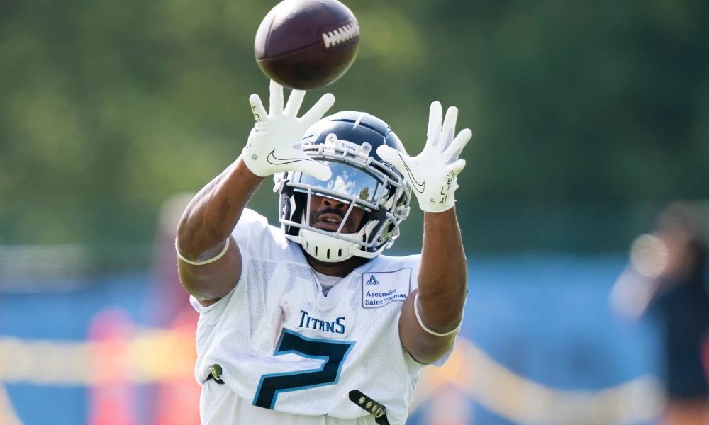 No, the Chicago Bears should not sign WR Robert Woods
