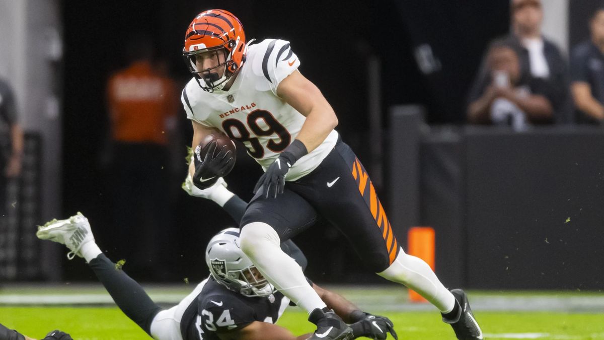3 TEs the Bears Could Target in Free Agency