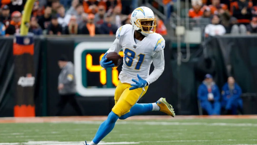 Should the Bears sign former Chargers WR Mike Williams?
